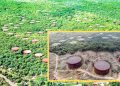 Trincomalee Oil Tank Farm: International Bids to Be Called for 29 Tanks