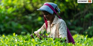The government has approved the payment of more than Rs. 4.5 billion in outstanding statutory dues to over 10,000 current and retired employees of three state owned plantation institutions.
